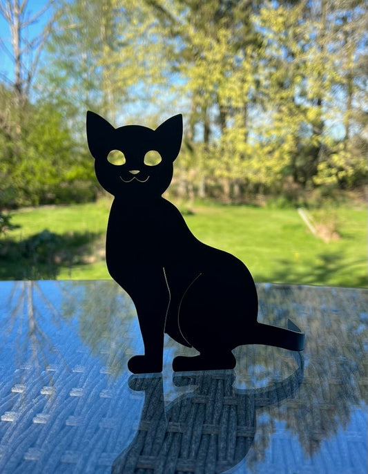 Katt- Svart Lackerad
