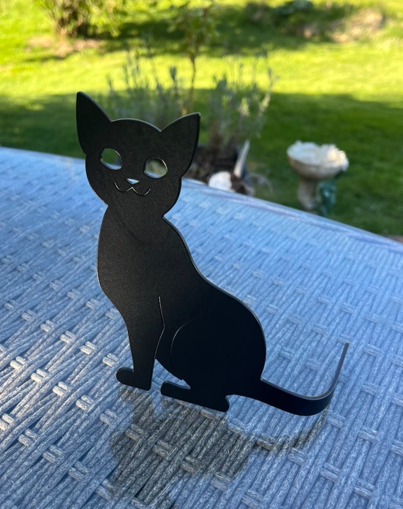 Katt- Svart Lackerad
